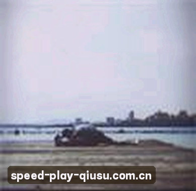 张磊